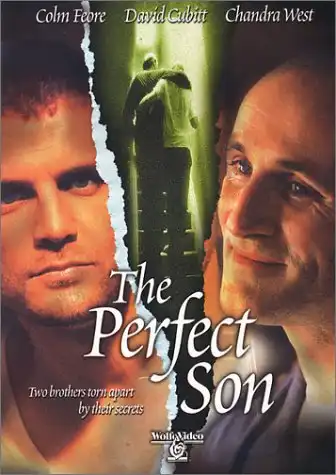 Watch and Download The Perfect Son 3