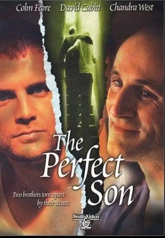 Watch and Download The Perfect Son