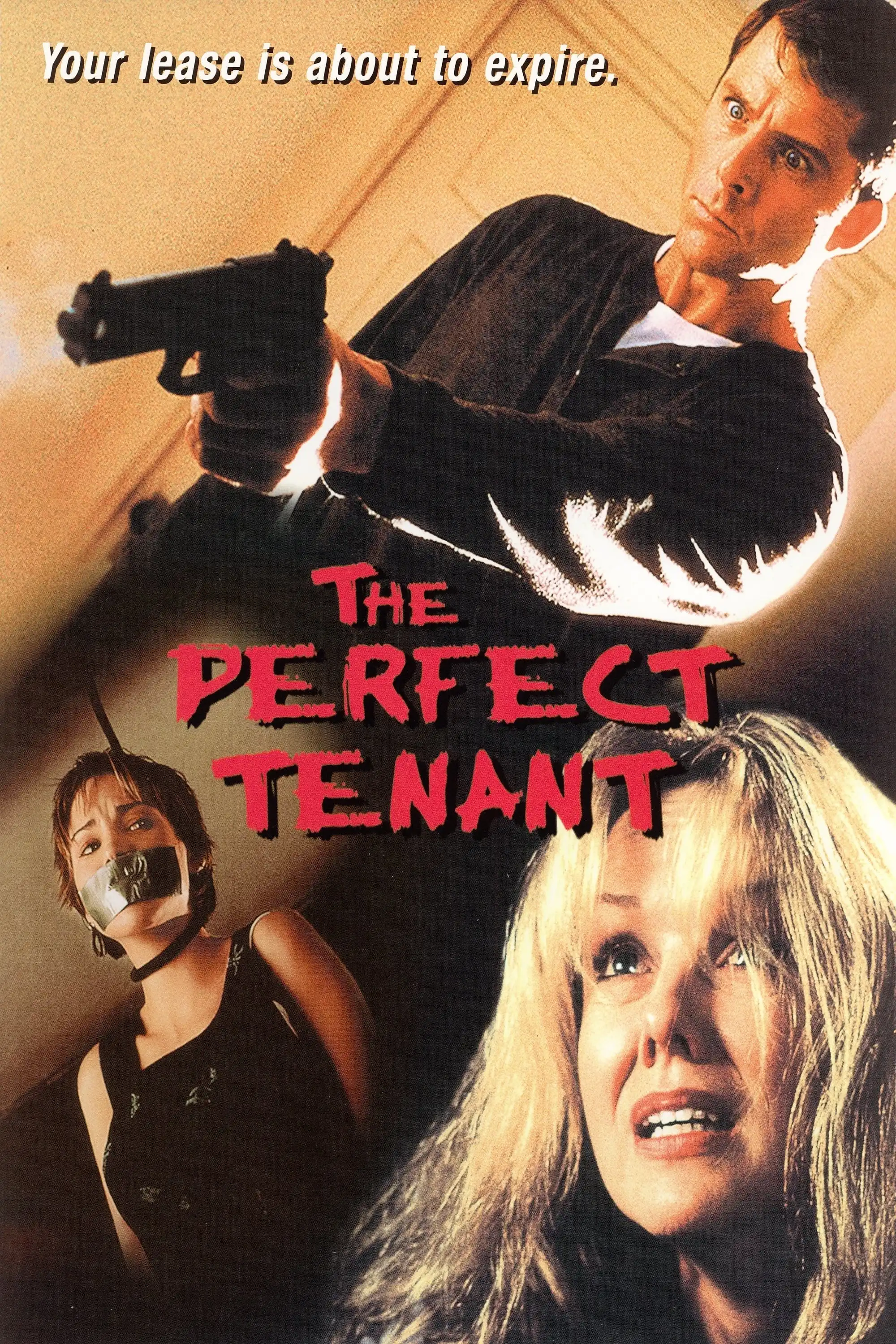 Watch and Download The Perfect Tenant 8
