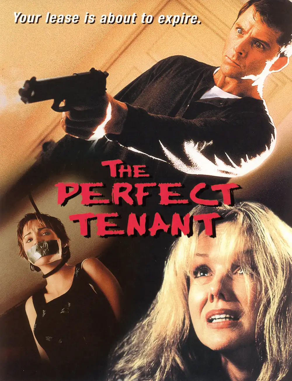 Watch and Download The Perfect Tenant 9