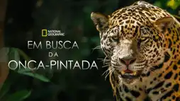 Watch and Download The Phantom Cat: Jaguar 3