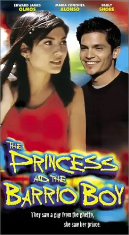 Watch and Download The Princess and the Barrio Boy 1