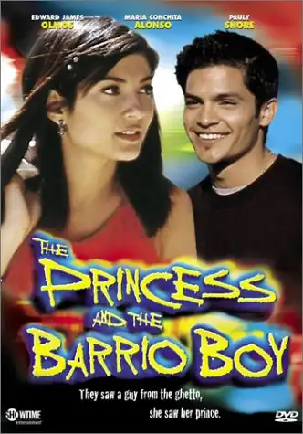 Watch and Download The Princess and the Barrio Boy 2