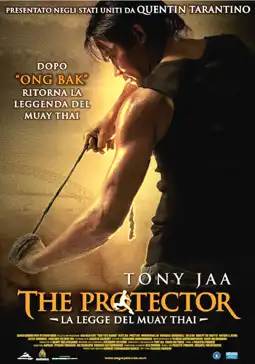 Watch and Download The Protector 11