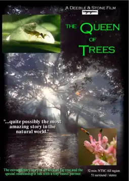 Watch and Download The Queen of Trees 6