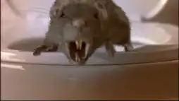 Watch and Download The Rats 2