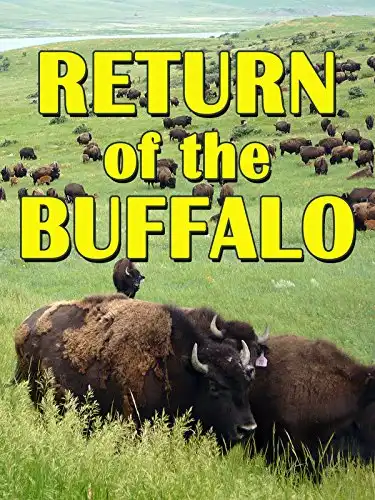 Watch and Download The Return of the Buffalo: Restoring the Great American Prairie 1