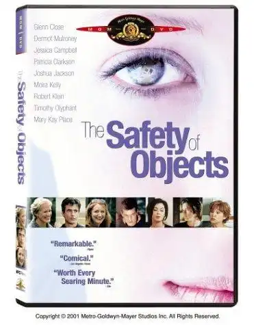 Watch and Download The Safety of Objects 16