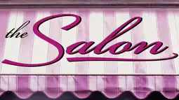 Watch and Download The Salon 1