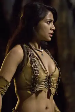 Watch and Download The Scorpion King 2: Rise of a Warrior 8