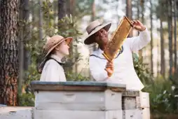 Watch and Download The Secret Life of Bees 13