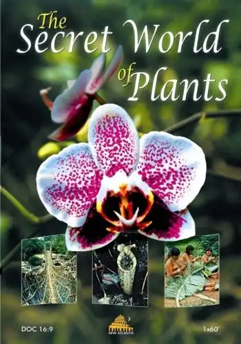 Watch and Download The Secret World of Plants 1