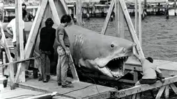 Watch and Download The Shark Is Still Working: The Impact & Legacy of 'Jaws' 1