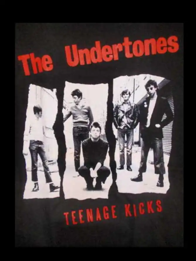 Watch and Download The Story of the Undertones - Teenage Kicks 1