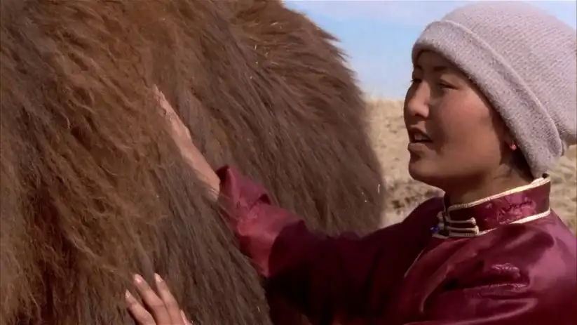 Watch and Download The Story of the Weeping Camel 16