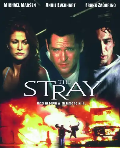 Watch and Download The Stray 1