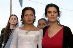 Watch and Download The Syrian Bride 3