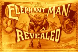 Watch and Download The Terrible Elephant Man Revealed 6