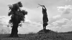 Watch and Download The Turin Horse 3