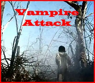 Watch and Download The Vampire Attack 2