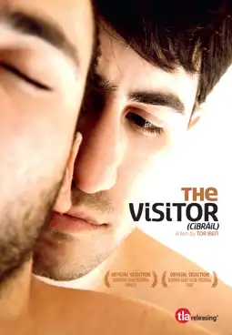 Watch and Download The Visitor 4