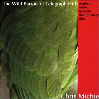 Watch and Download The Wild Parrots of Telegraph Hill 10