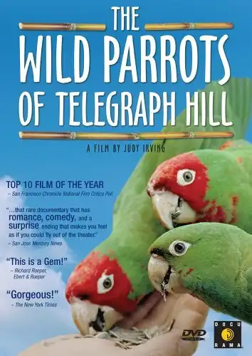 Watch and Download The Wild Parrots of Telegraph Hill 11