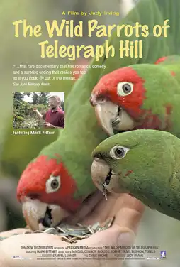 Watch and Download The Wild Parrots of Telegraph Hill 8