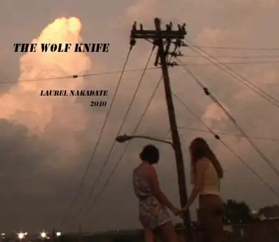 Watch and Download The Wolf Knife 1