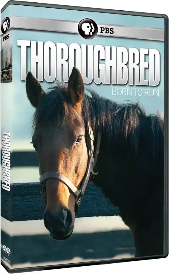 Watch and Download Thoroughbred: Born to Run 1