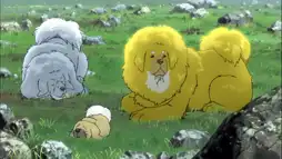 Watch and Download Tibetan Dog 4