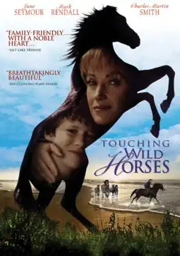 Watch and Download Touching Wild Horses 4