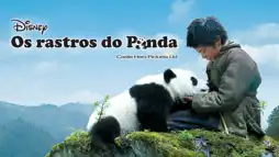 Watch and Download Trail of the Panda 3