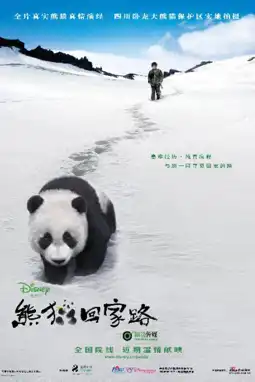 Watch and Download Trail of the Panda 6