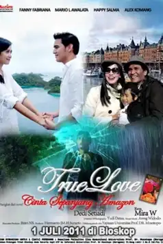 Watch and Download True Love