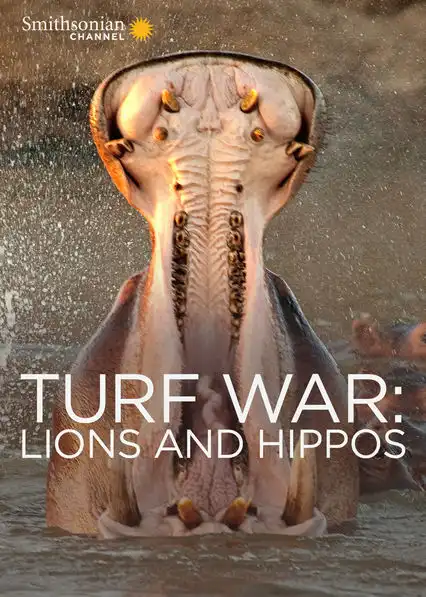 Watch and Download Turf War: Lions and Hippos 1