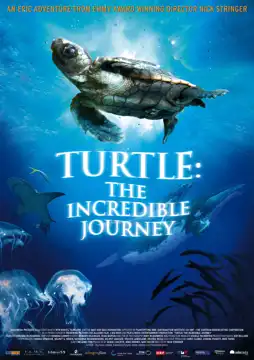 Watch and Download Turtle: The Incredible Journey 8