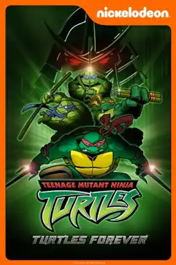 Watch and Download Turtles Forever 4