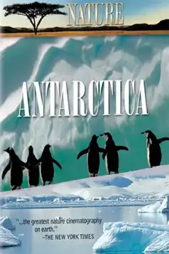 Watch and Download Under Antarctic Ice