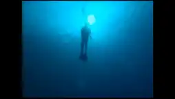 Watch and Download Underwater Impressions 2