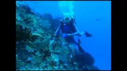 Watch and Download Underwater Impressions 8