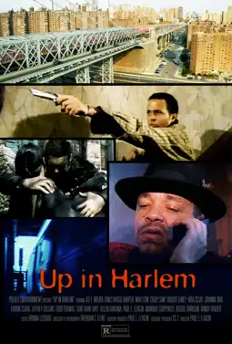 Watch and Download Up in Harlem 1