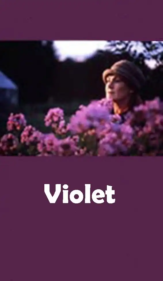 Watch and Download Violet 1