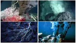 Watch and Download Volcanoes of the Deep Sea 1