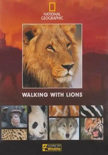 Watch and Download Walking with Lions 4