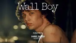 Watch and Download Wall Boy 2