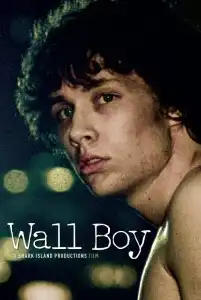 Watch and Download Wall Boy 3