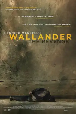 Watch and Download Wallander 14 - The Revenge 11