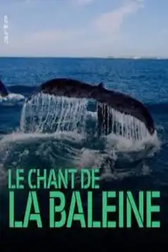 Watch and Download Whale Patrol