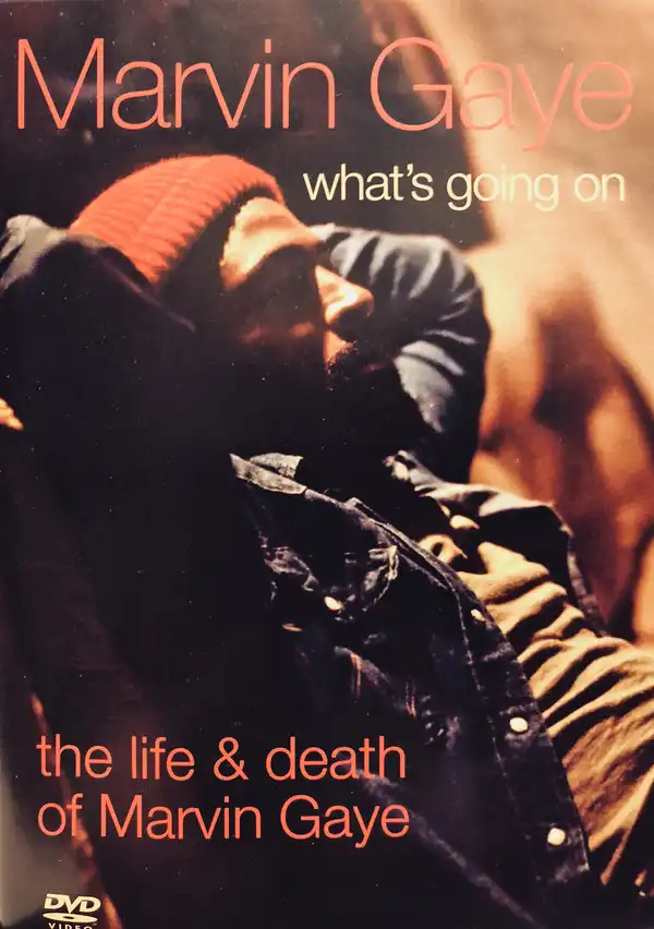 Watch and Download What's Going On: The Life and Death of Marvin Gaye 1